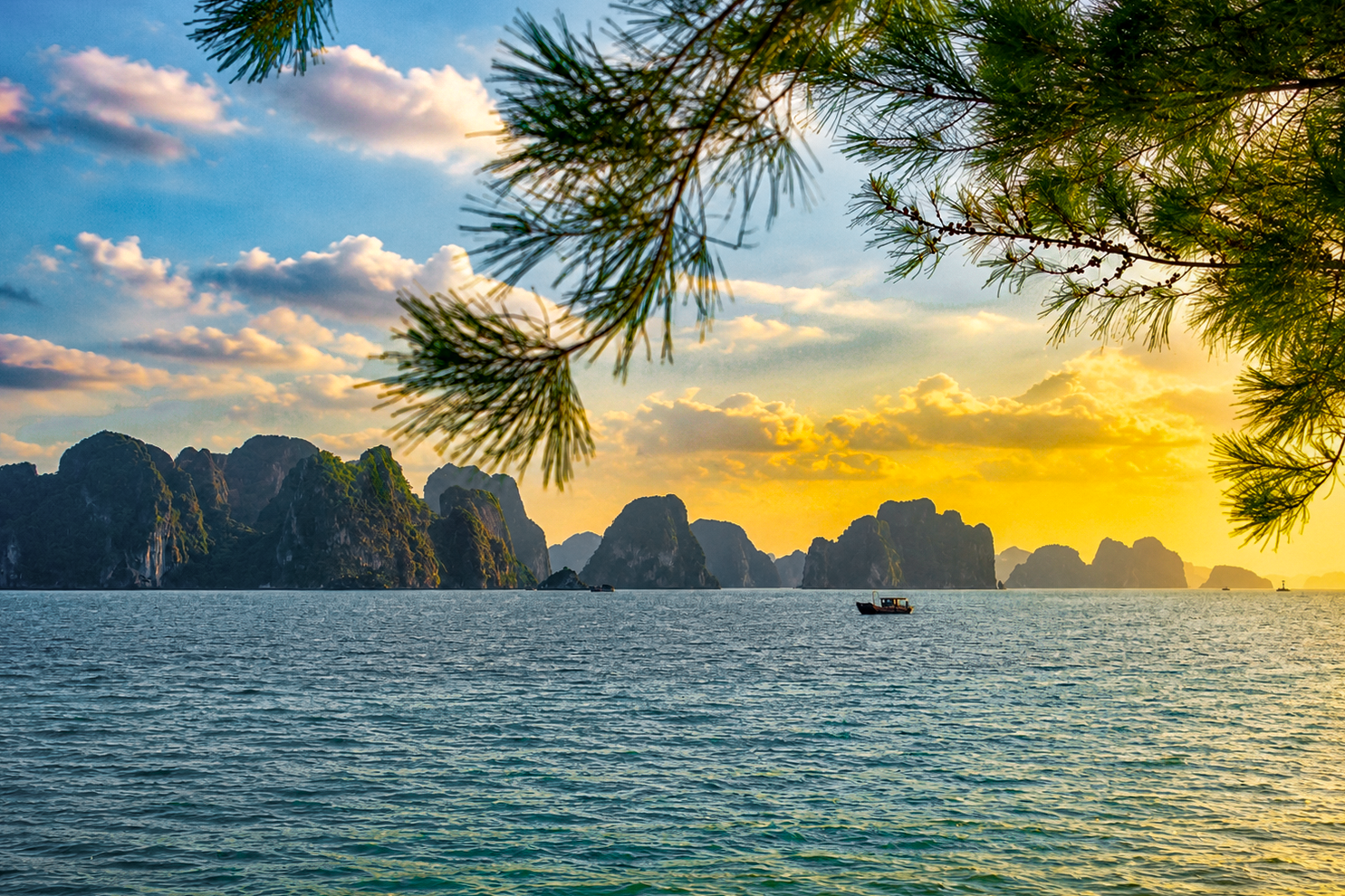 HaNoi-Halong-2012 (11)